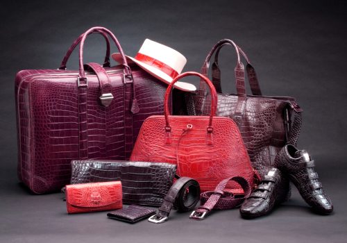 Set of products which made of crocodile leather